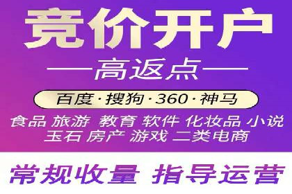 SEM搜索引擎优化：成功案例解析