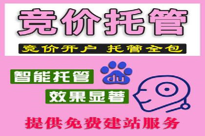 网站SEM托管优化案例：实现客户转化率提升